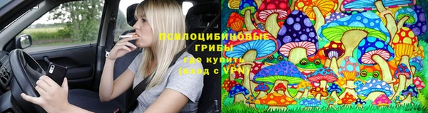 Альфа ПВП Балабаново