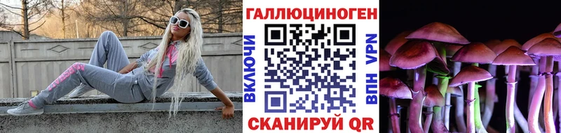 блэк спрут как войти  Гаврилов-Ям  Галлюциногенные грибы MAGIC MUSHROOMS 